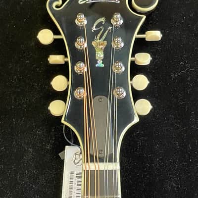 Eastman MD815 2026 - Authorized Dealer image 7
