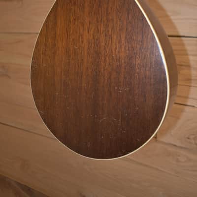 Regal Mandolin 1920s - Natural image 6