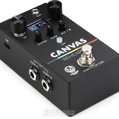 Walrus Audio Canvas Rehearsal Pedal (CanvasRehd1) image 2