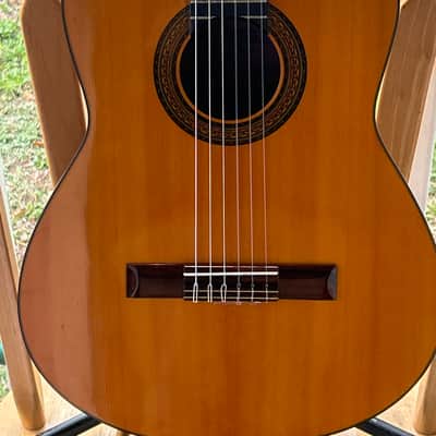 Fender FC-100 Classical Guitar 1990s-2000s image 1