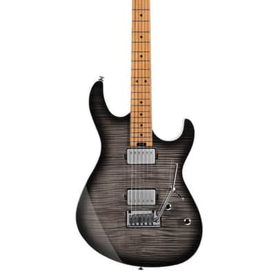 Cort G290 FAT II, Roasted Maple Neck & Fretboard, Transparent Black Burst image 25