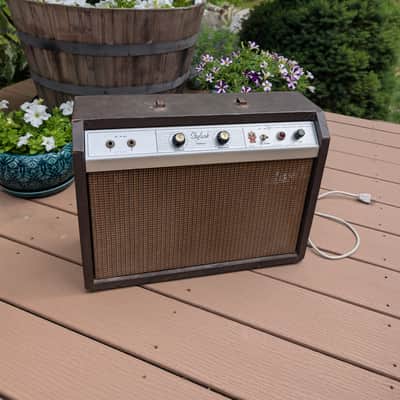 1960s Gibson Skylark GA-5T ⚡💥 image 1