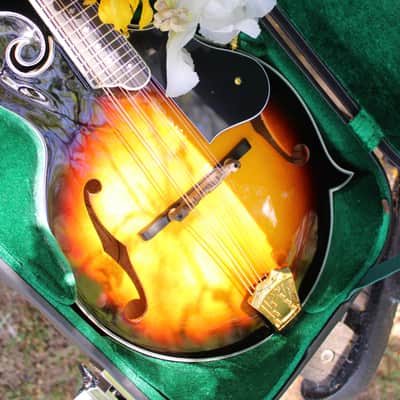 Washburn M3SWK Bluegrass F-Style Mandolin with Hardshell Case- Sunburst image 21