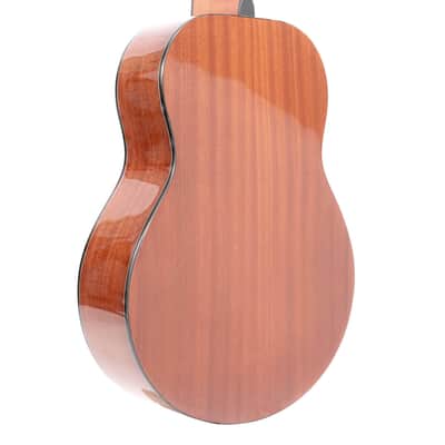 Gold Tone TG-10/L: Tenor Guitar with Gig Bag image 18
