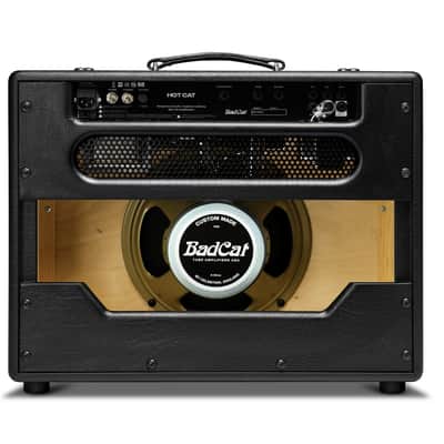 Bad Cat Amplifiers Hot Cat 1x12 Combo 45W 2 Channel Amp DIRECT SHIP image 3