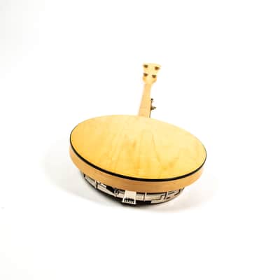Deering Banjo Owned by Brian Setzer image 15
