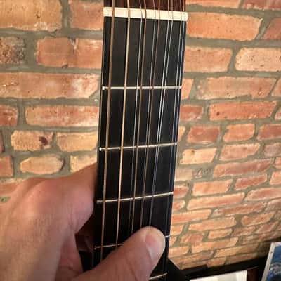 Circle Strings Acoustic Guitar 10-String Walnut and Sinker Redwood Rare Custom image 11