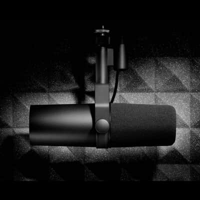 Immagine SM7B Shure - 5