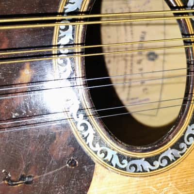 Vinaccia Bowlback 1907 or 1909 - Beautiful Wood image 9