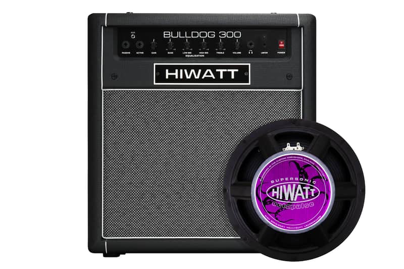 Hiwatt Bulldog 300 Bass Combo 2026 image 1