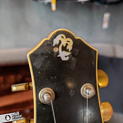Oasis Electric Guitar by Gary Cooper Alembic Luthier image 7