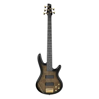 Used Ibanez GSR205PCTPB Gio SR 5-String Bass - Transparent Pale Black Burst image 2