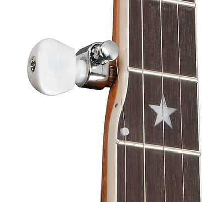 Ibanez BA250 United States 250th Anniversary Limited Edition Resonator Banjo, Purpleheart Fingerboard, America 250 image 5