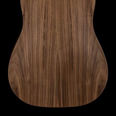Taylor Big Baby Taylor (BBTe) #16061 (Demonstration Model) image 2
