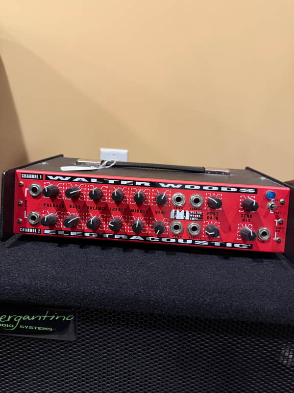 Walter Woods bass amp 1200 watt blue light around 2008 image 1