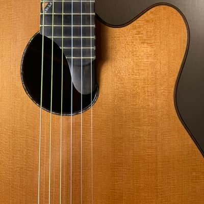 Paul McGill Super Ace Nylon Classical Cutaway Brazilian Rosewood BAM Case image 6