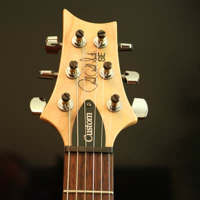 PRS SE Custom 24 w/ Bird Inlays - Blue Flame Top image 6