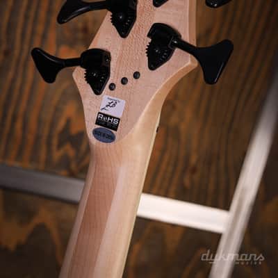 Dingwall Combustion Nashville 5-String Maple Natural Ash image 9