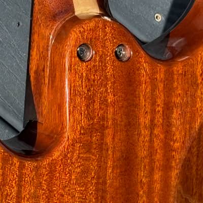 Citron AE-4 Swallow Bass 2009  - killer all around invention from Harvey Citron of Velette-Citron Basses. image 14