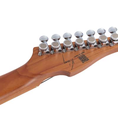 Vola Guitars OZ QGM J1 Black Gloss MIJ image 12