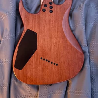 Agile 7 string - Wood gloss image 3