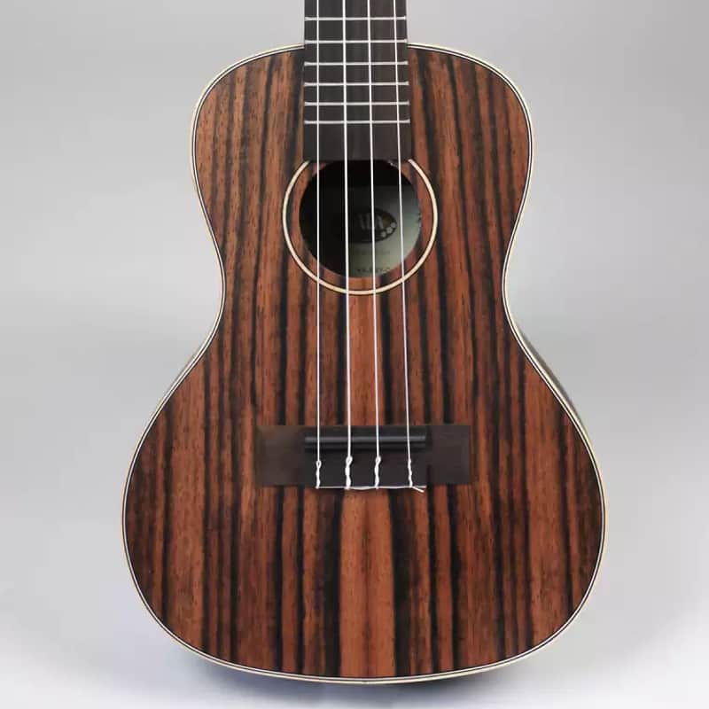 Kala KA-EBY-C Ebony Concert Ukulele image 2