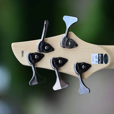 Dingwall NG3 Adam "Nolly" Getgood Signature 5 String - Celestial Blue Matte image 6