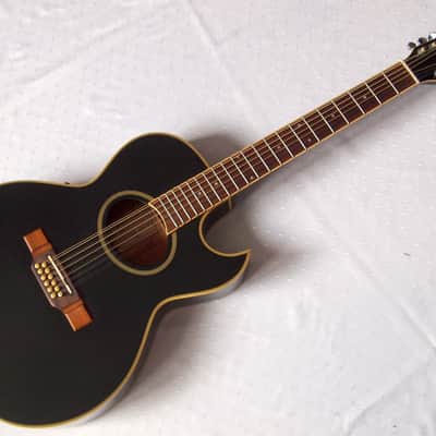 Washburn EA 20 MB-12 1995 Black | Reverb