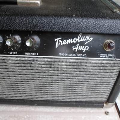 1964 Fender Tremolux Tube Amplifier image 2