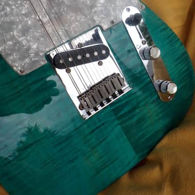 VZ Custom Guitars 24-Fret T-Style w/new tweed case image 12
