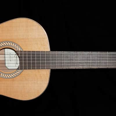 Kremona Artist Series Sofia Classical, Adjustable Truss Rod 2025 image 4