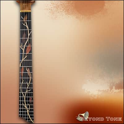 Van Gundy Customs Fall / Falcate Bracing / Boutique / Acoustic / rare image 3