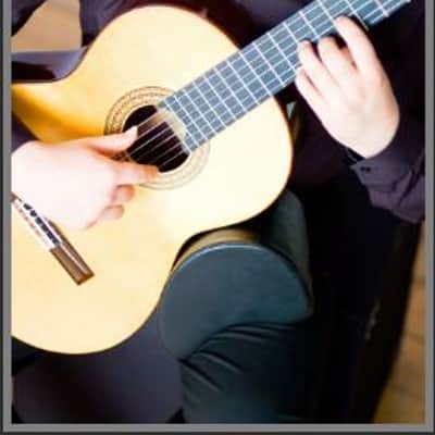 Dynarette  Guitar Support Cushion image 3