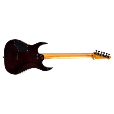 Spira S-450 TGR Double Cutaway Roasted Poplar Flamed Maple Top Canadian Roasted Maple Neck 6-String Electric Guitar image 5
