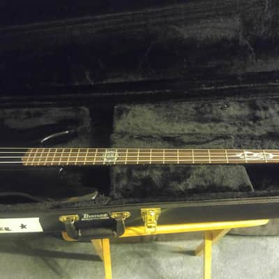 Ibanez PGBIL image 2