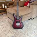 Schecter Platinum Sustainiac