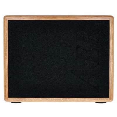 AER Compact-60/4-ONT | 60W Acoustic Amp w/ 8" Speaker, Natural Oak. New with Full Warranty! image 18
