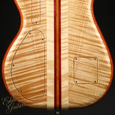 Alembic Further 6 Buckeye Burl - Resin Top image 4