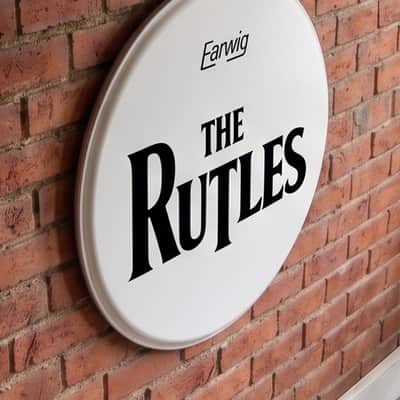The Rutles, bass drumhead, 22", Resonate Drum Head, The Beatles image 3