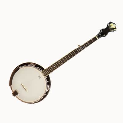 Ibanez B-50 Banjo 2022 - Natural Gloss Finish image 1