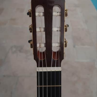 Joshia de Jonge (Canada) Classical Guitar 2014 (Concert Model) image 14
