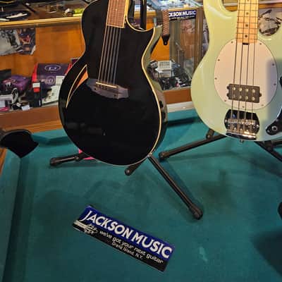 ESP LTD TL-12 Thinline Acoustic-Electric Guitar, 12-String image 1
