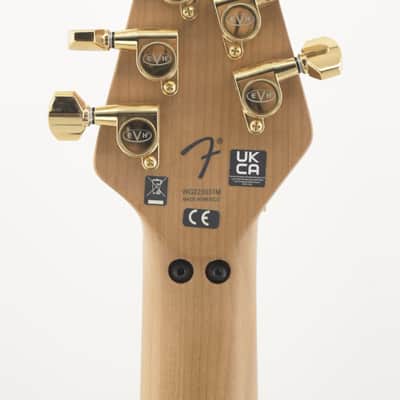EVH Wolfgang WG Special QM with Baked Maple Neck 2023 Purple Burst image 12
