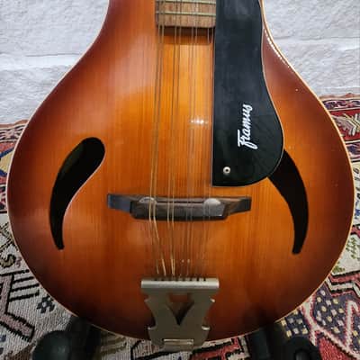 BlueBell F-10 Limited Edition 1980s | Reverb Canada
