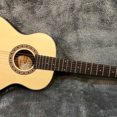 Washburn AGM5K G mini image 1