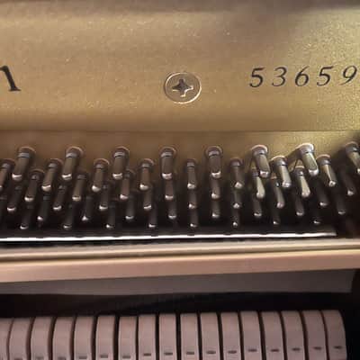 Yamaha U1 Upright Piano – Impeccable Quality & Sound image 6