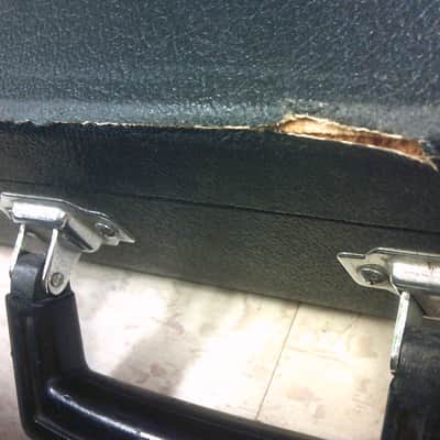 Unknown Guitar Case imagen 12