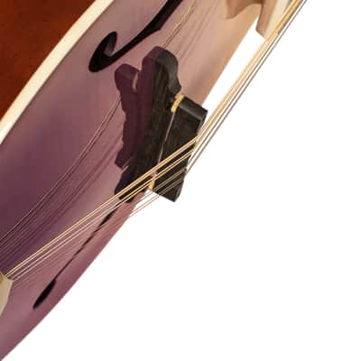 Ortega RMAE200PF Americana Series A-Style Acoustic-Electric Mandolin + Croco Leather Case image 13