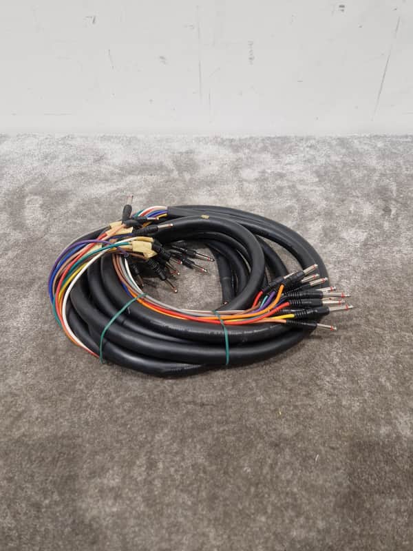 12 Channel Turnkey Cable 20FT - Professional Audio Connection - Excellent image 1
