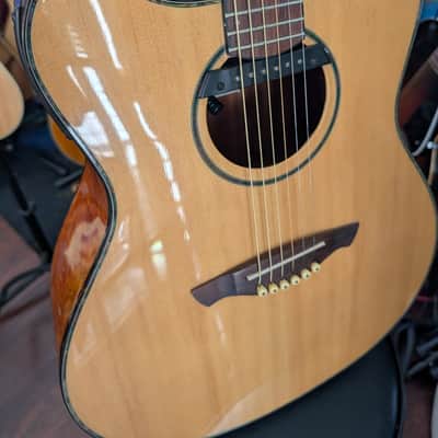 Wechter Pathmaker 3135 Acoustic Electric Guitar image 4